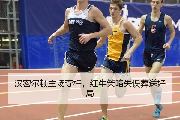 han-mi-er-dun-zhu-chang-duo-gan-hong-niu-ce-lve-shi-wu-zang-song-hao-ju-2-896.jpg