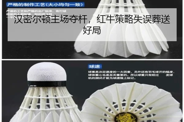 han-mi-er-dun-zhu-chang-duo-gan-hong-niu-ce-lve-shi-wu-zang-song-hao-ju-3-333.jpg