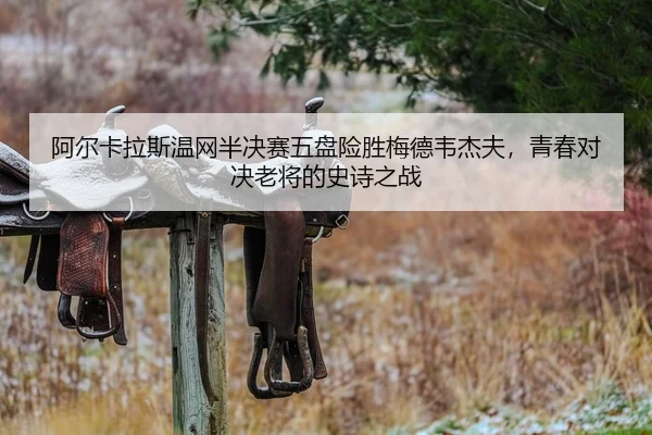 a-er-ka-la-si-wen-wang-ban-jue-sai-wu-pan-xian-sheng-mei-de-wei-jie-fu-qing-chun-dui-jue-lao-jiang-de-shi-shi-zhi-zhan-2-215.jpg